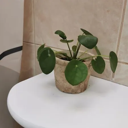 Lumineux Sous Les Toits A Pey Berland Apartament Bordeaux