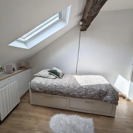 Lumineux Sous Les Toits A Pey Berland